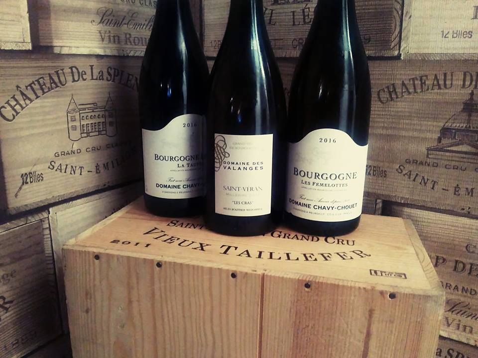 La Vigne Vincent Tourrettes